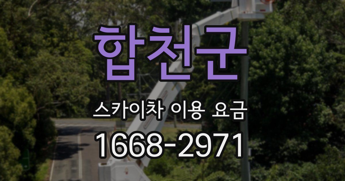합천군 스카이차 이용 요금