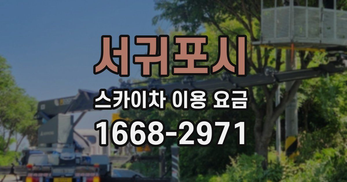 서귀포시 스카이차 이용 요금