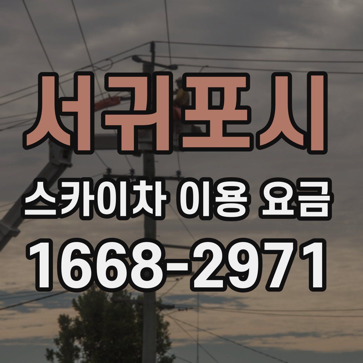 서귀포시 스카이차 이용 요금