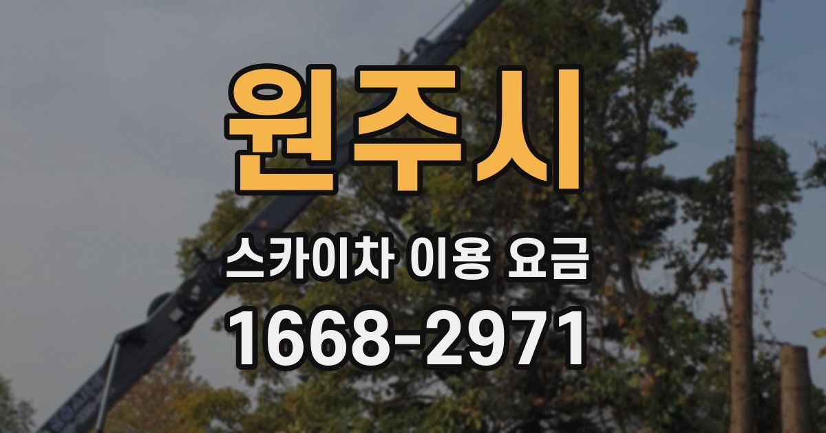 원주시 스카이차 이용 요금