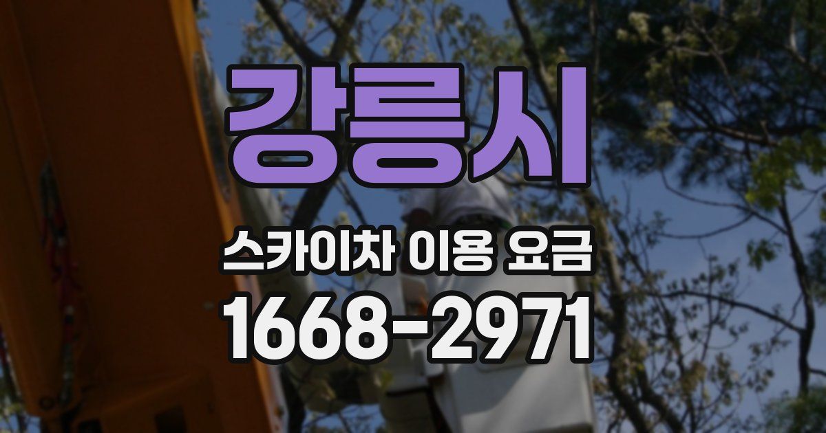 강릉시 스카이차 이용 요금