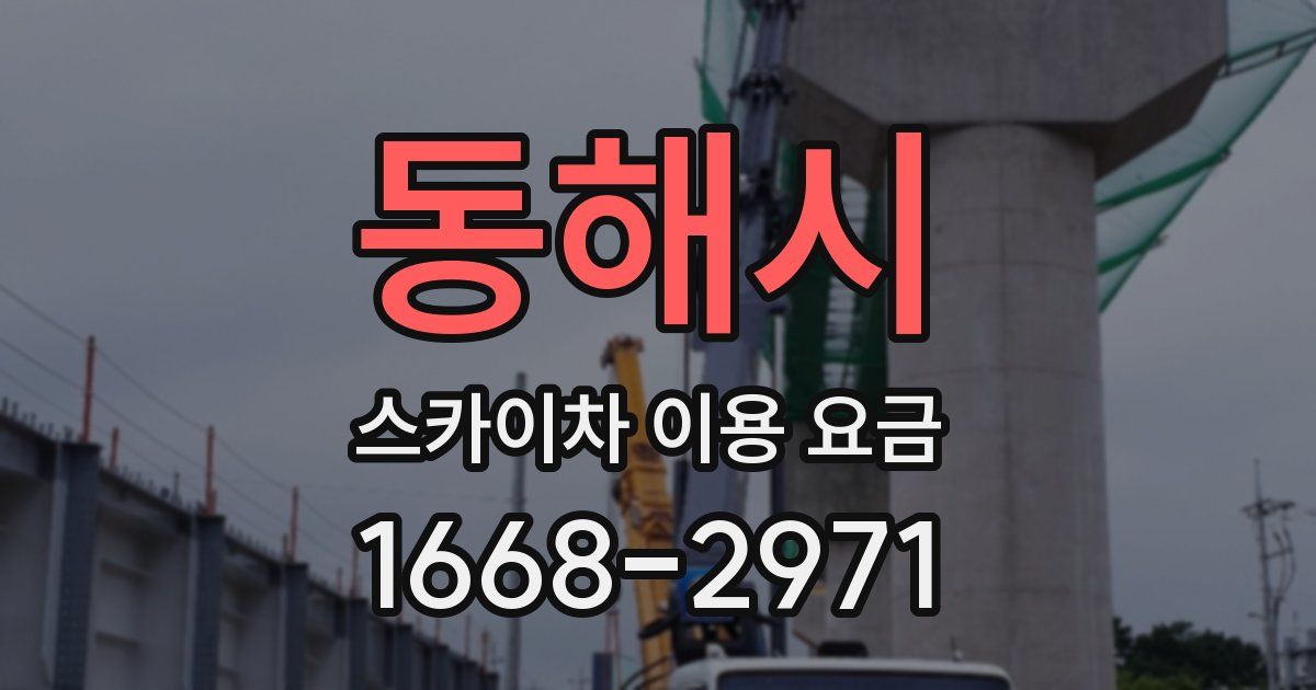 동해시 스카이차 이용 요금
