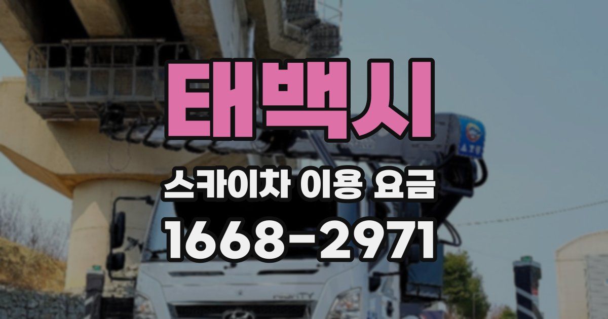 태백시 스카이차 이용 요금