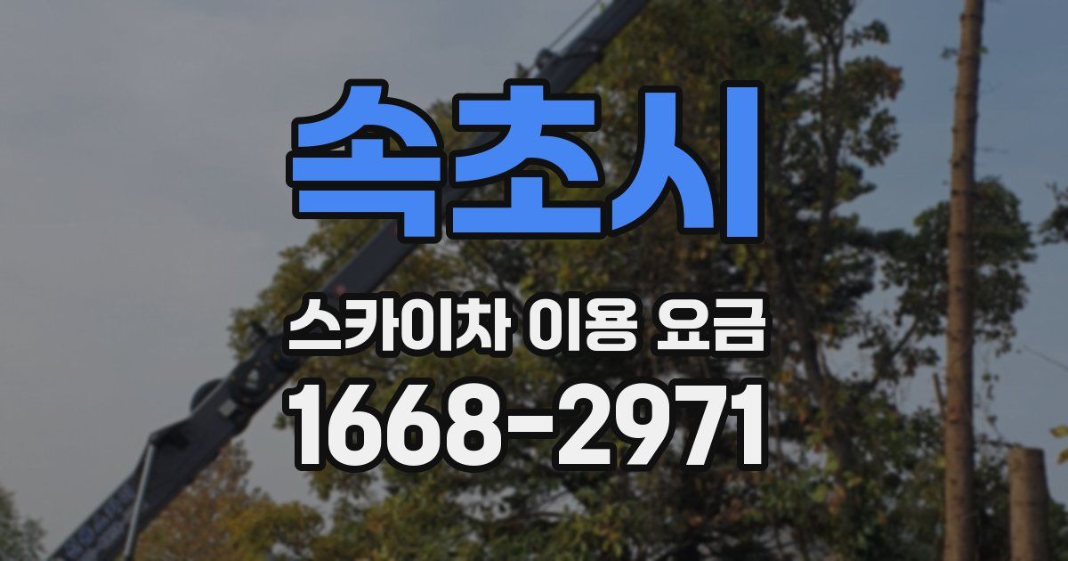 속초시 스카이차 이용 요금