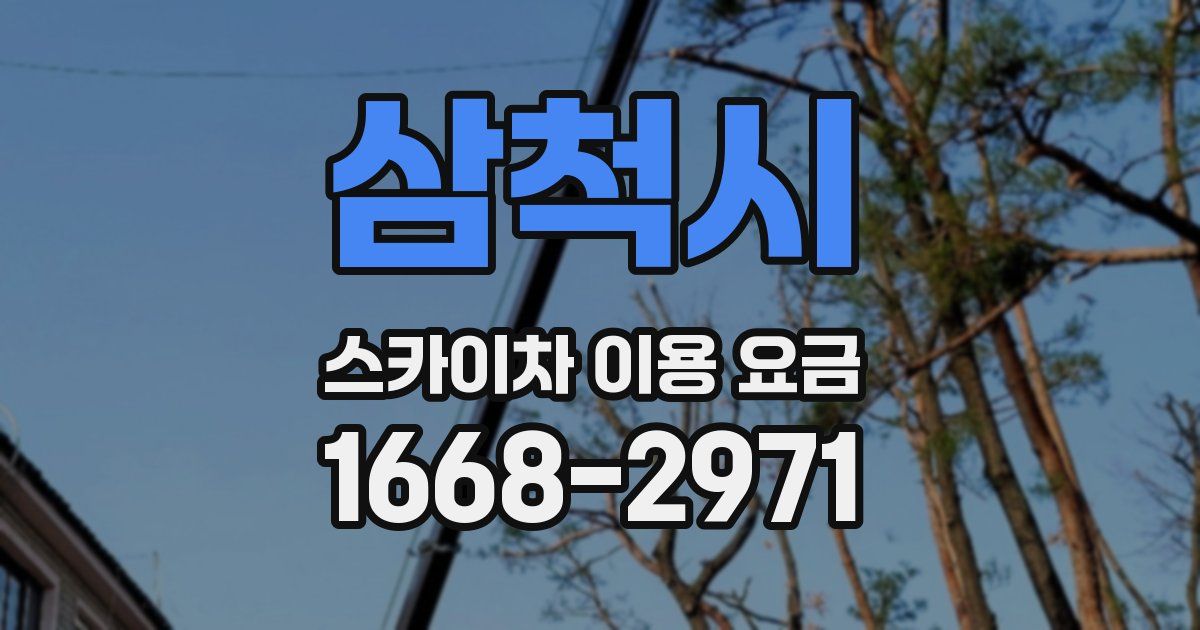 삼척시 스카이차 이용 요금