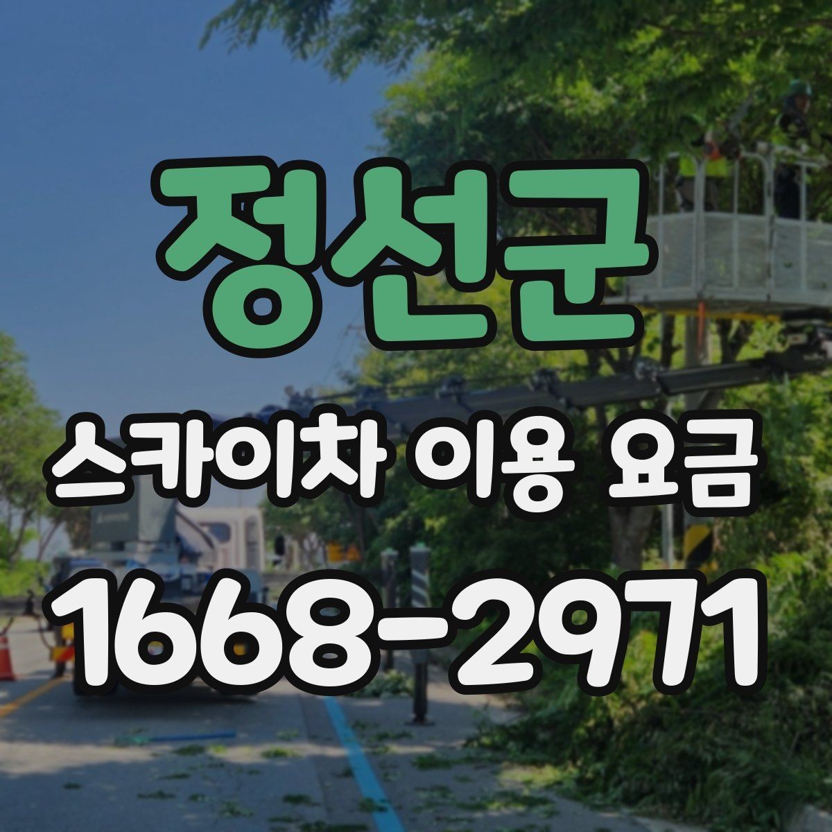정선군 스카이차 이용 요금 비교 전 살펴볼 항목