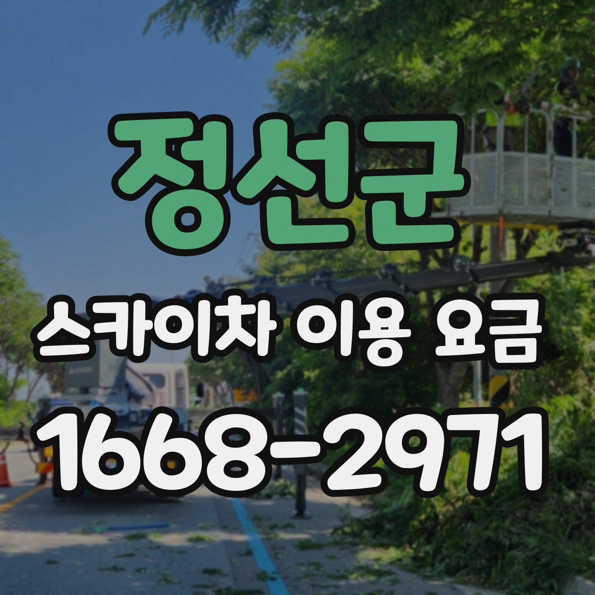정선군 스카이차 이용 요금
