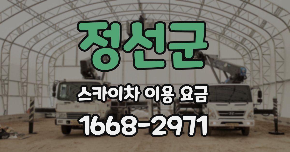 정선군 스카이차 이용 요금