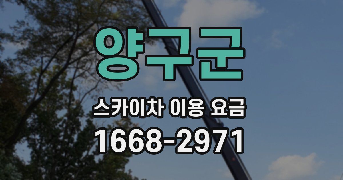 양구군 스카이차 이용 요금