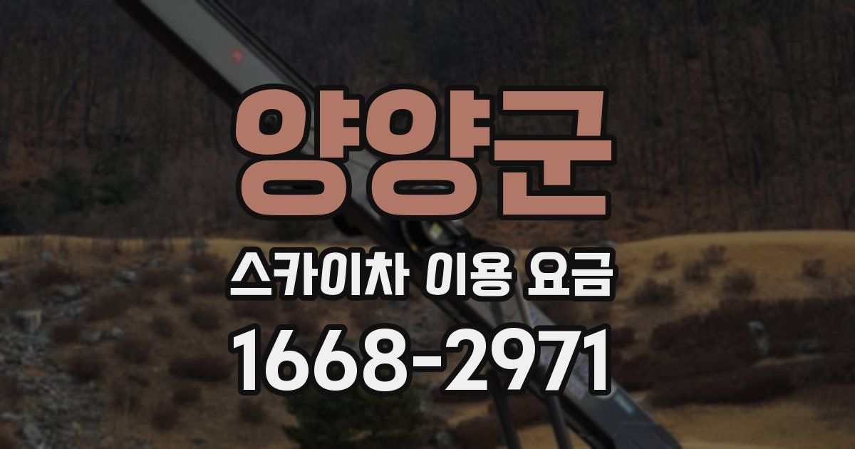 양양군 스카이차 이용 요금