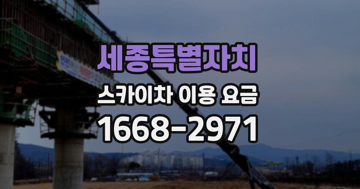 세종특별자치 스카이차 이용 요금