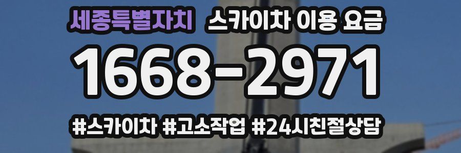 세종특별자치 스카이차 이용 요금