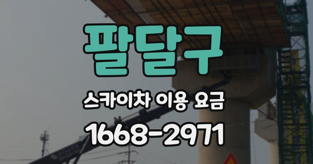 팔달구 스카이차 이용 요금