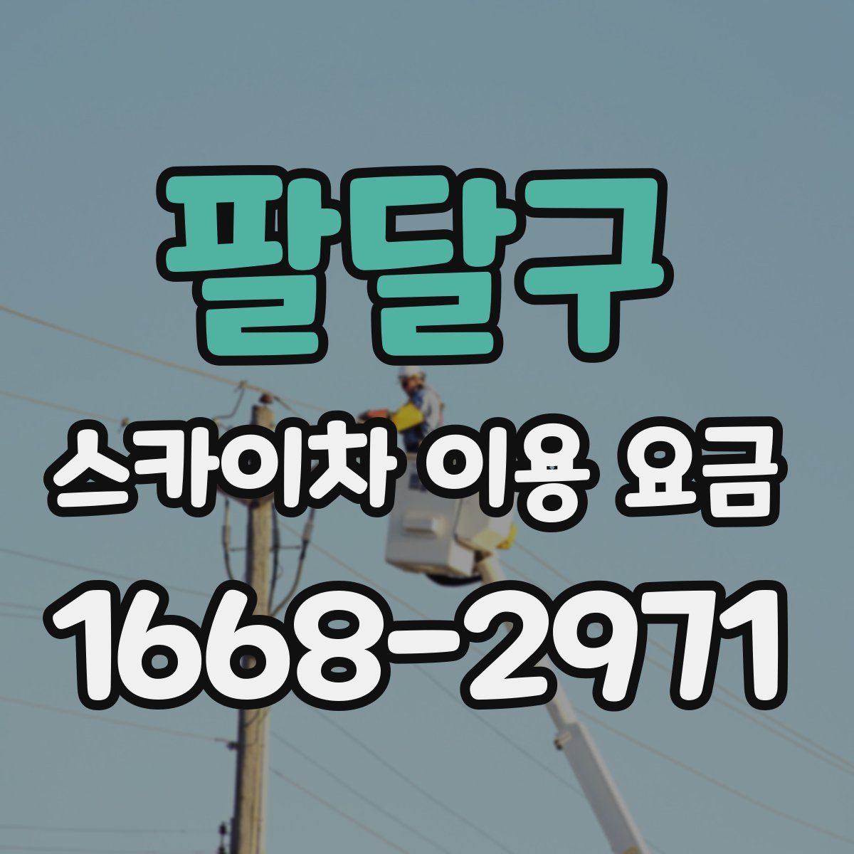 팔달구 스카이차 이용 요금