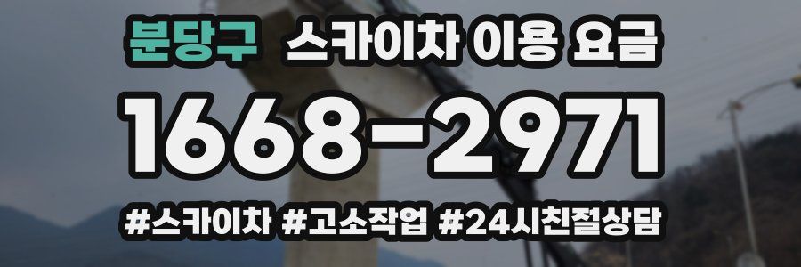 분당구 스카이차 이용 요금