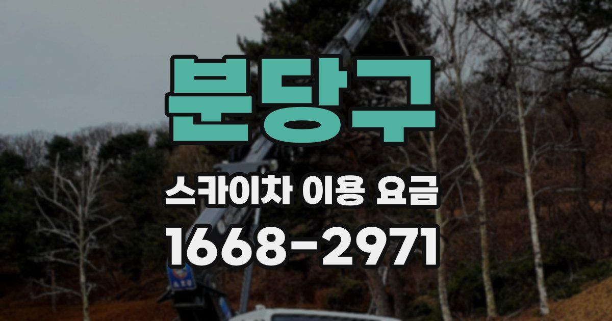 분당구 스카이차 이용 요금