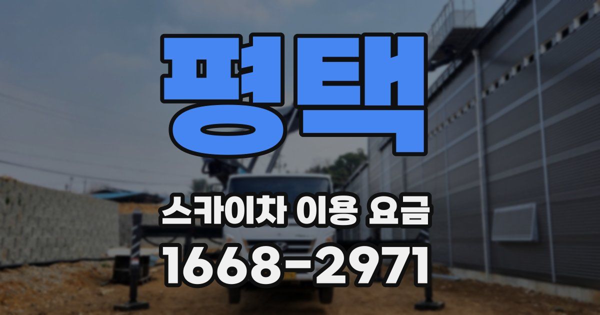 평택 스카이차 이용 요금