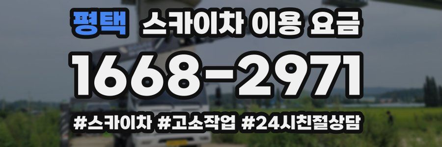 평택 스카이차 이용 요금