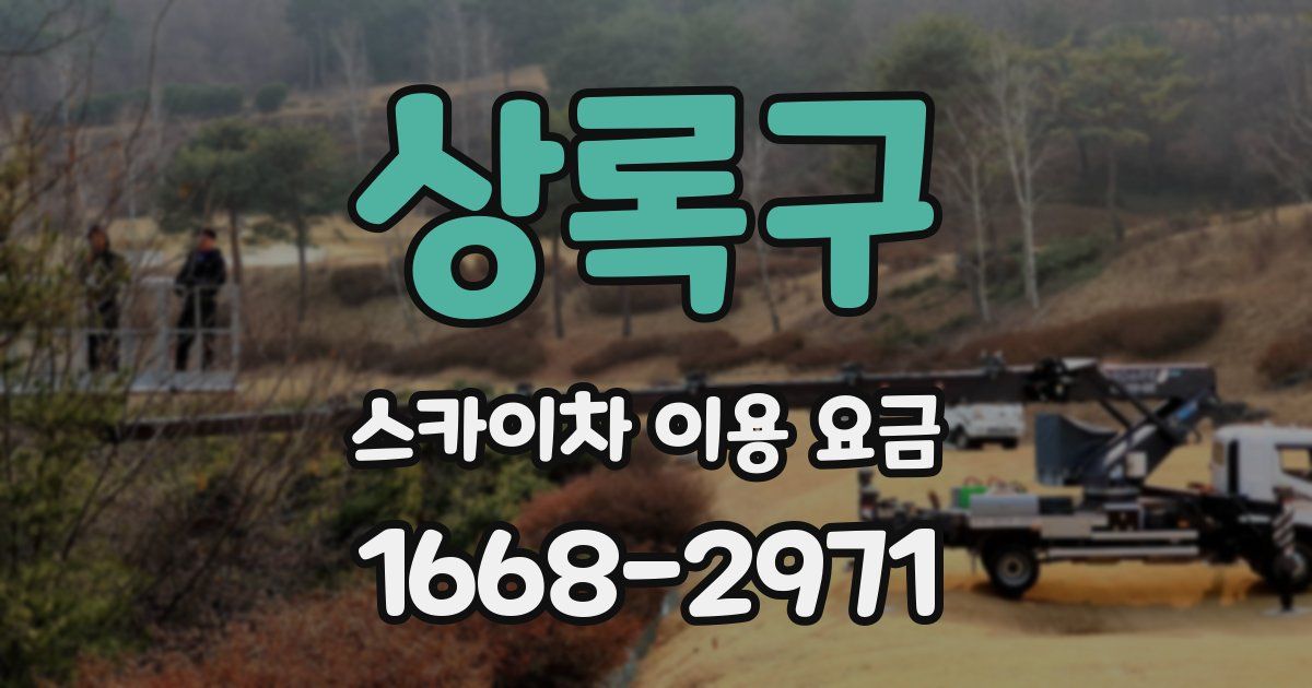 상록구 스카이차 이용 요금