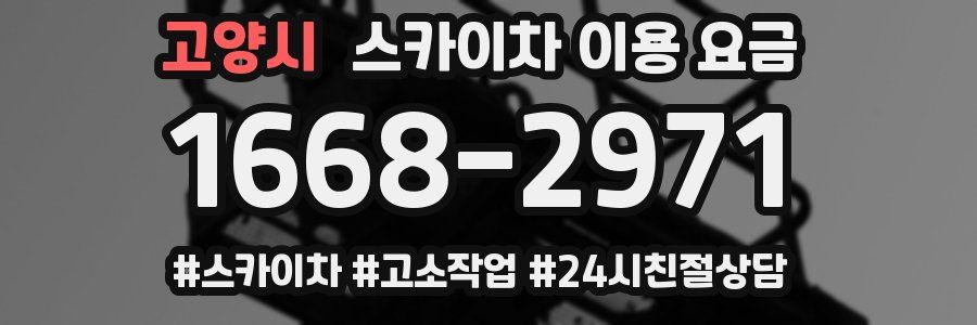 고양시 스카이차 이용 요금