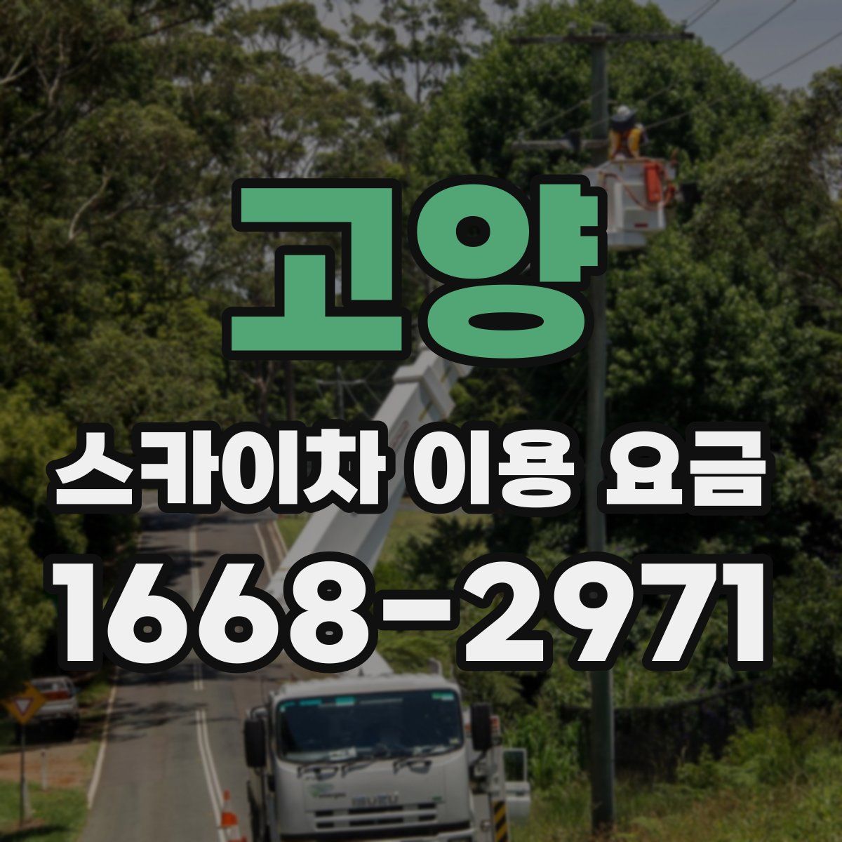 고양 스카이차 이용 요금