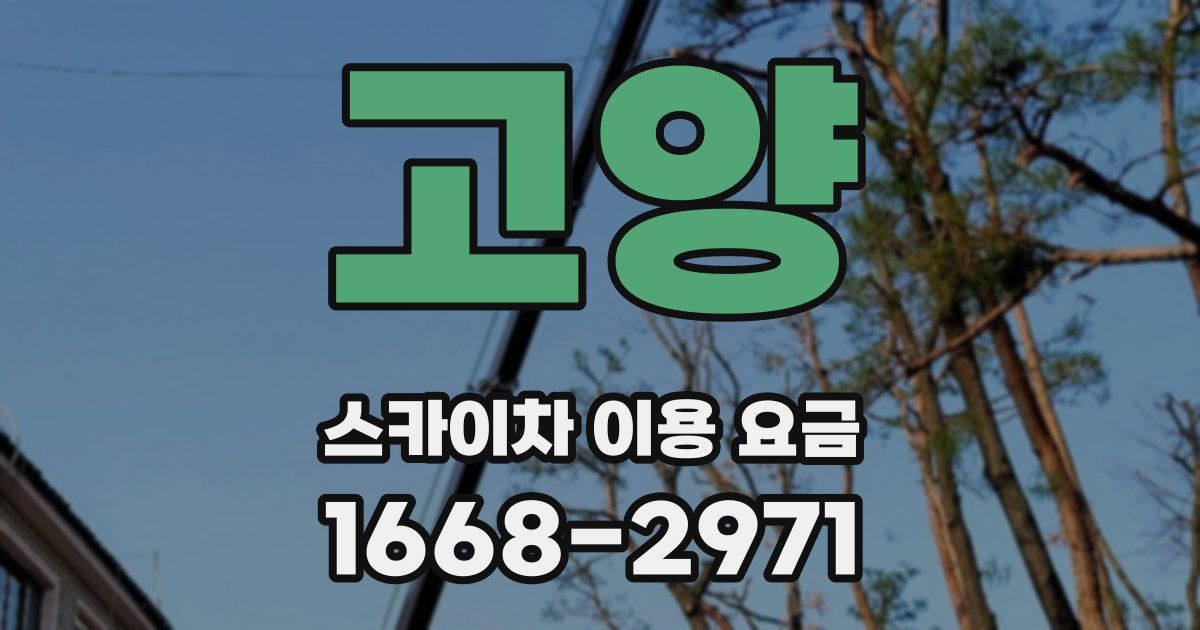 고양 스카이차 이용 요금