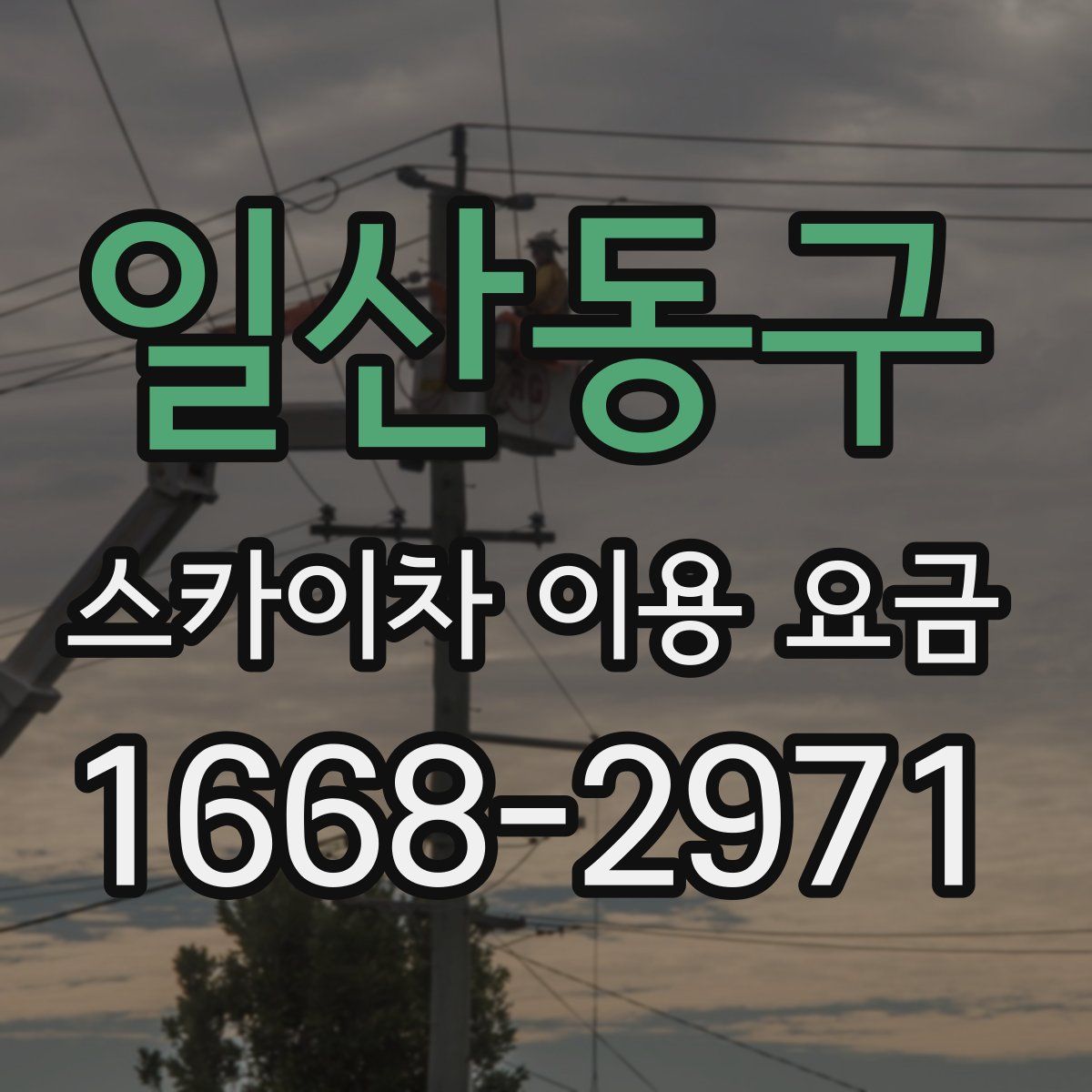 일산동구 스카이차 이용 요금