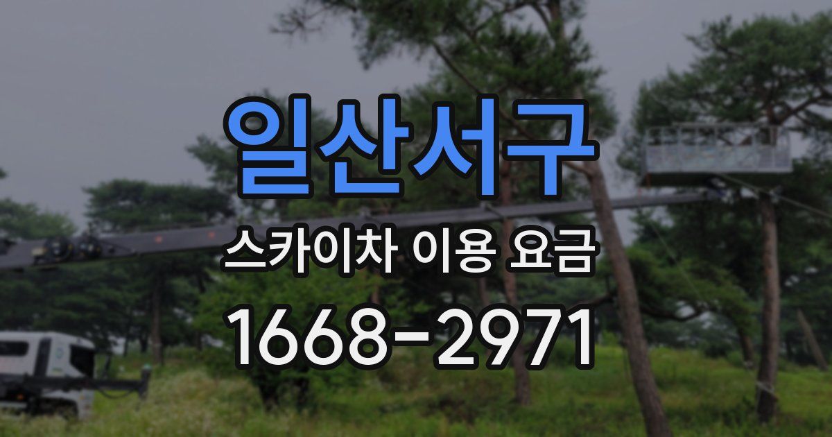 일산서구 스카이차 이용 요금