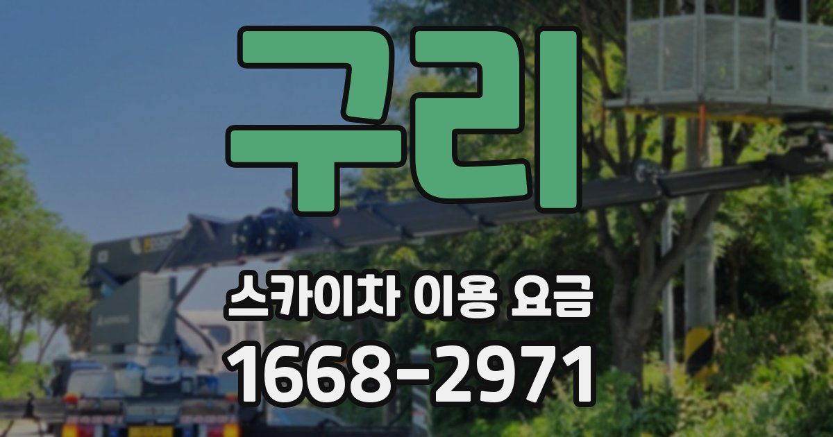 구리 스카이차 이용 요금