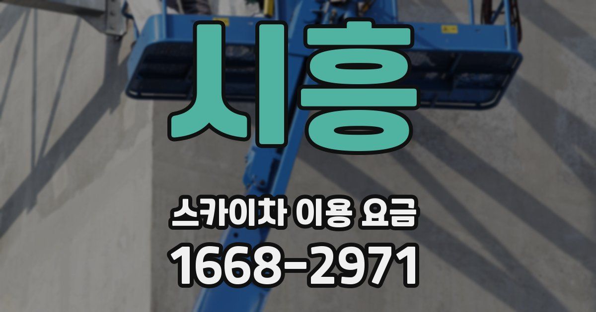 시흥 스카이차 이용 요금