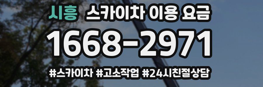 시흥 스카이차 이용 요금