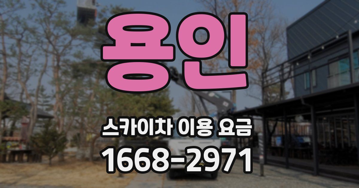 용인 스카이차 이용 요금