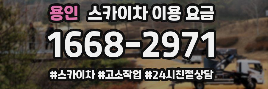 용인 스카이차 이용 요금