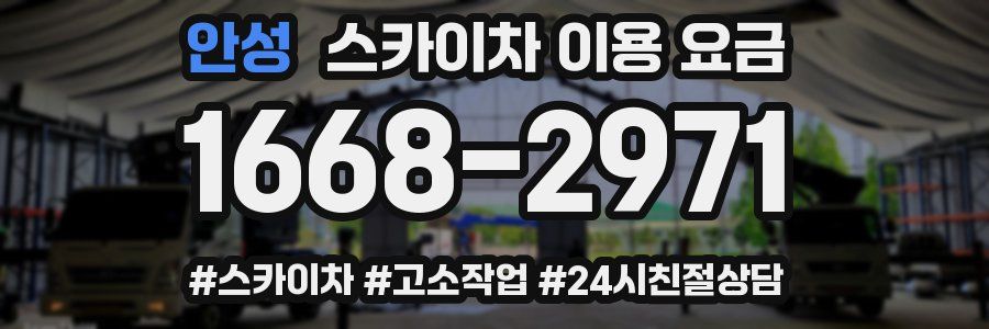 안성 스카이차 이용 요금