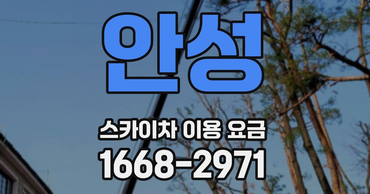 안성 스카이차 이용 요금