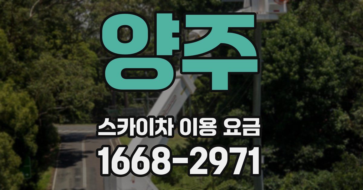 양주 스카이차 이용 요금