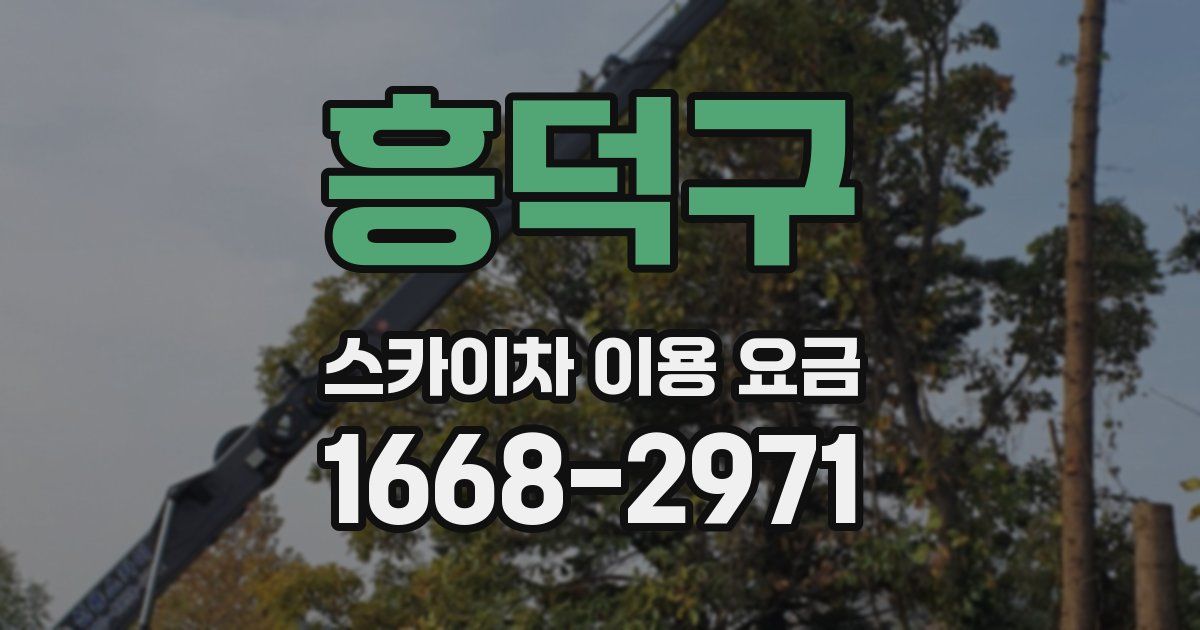 흥덕구 스카이차 이용 요금