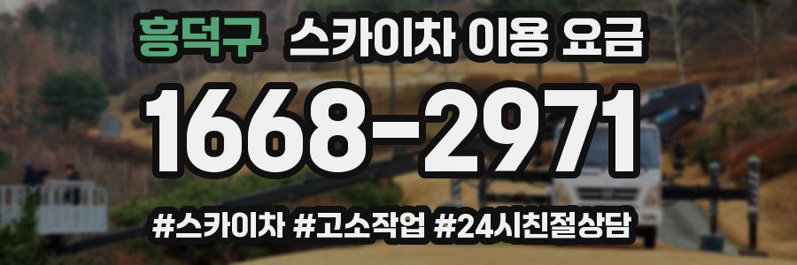 흥덕구 스카이차 이용 요금
