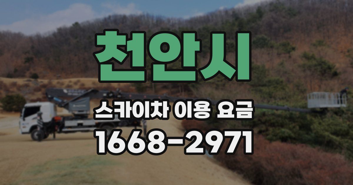 천안시 스카이차 이용 요금