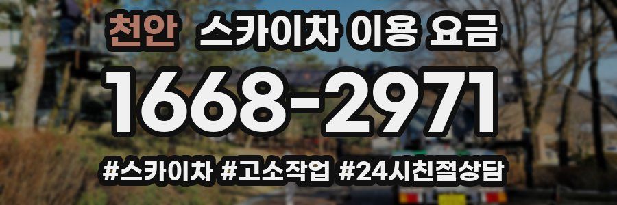 천안 스카이차 이용 요금