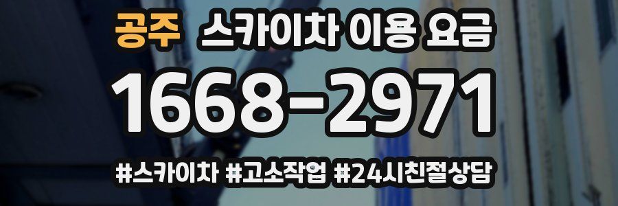 공주 스카이차 이용 요금