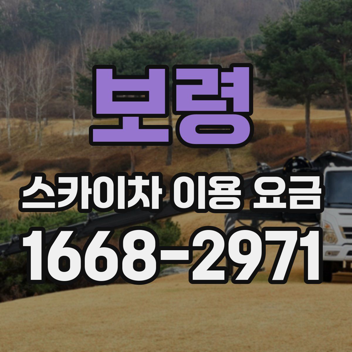 보령 스카이차 이용 요금