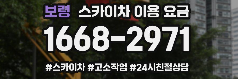 보령 스카이차 이용 요금