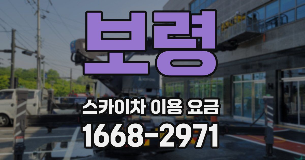 보령 스카이차 이용 요금