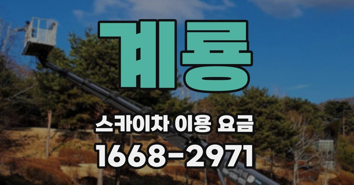 계룡 스카이차 이용 요금