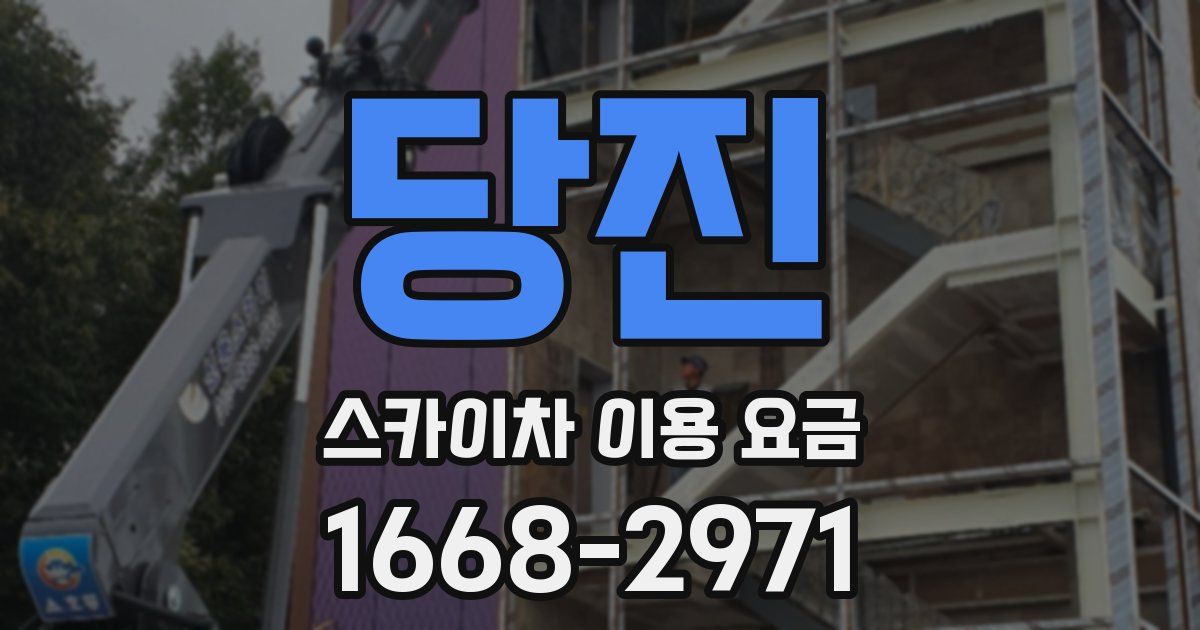 당진 스카이차 이용 요금