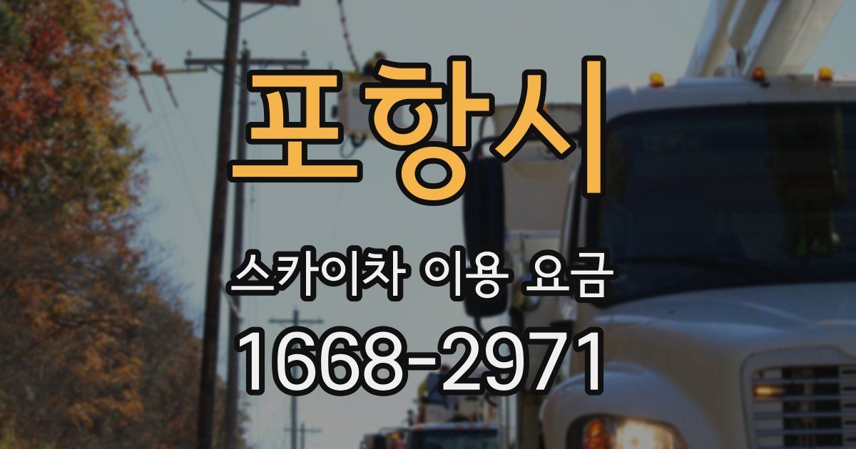 포항시 스카이차 이용 요금