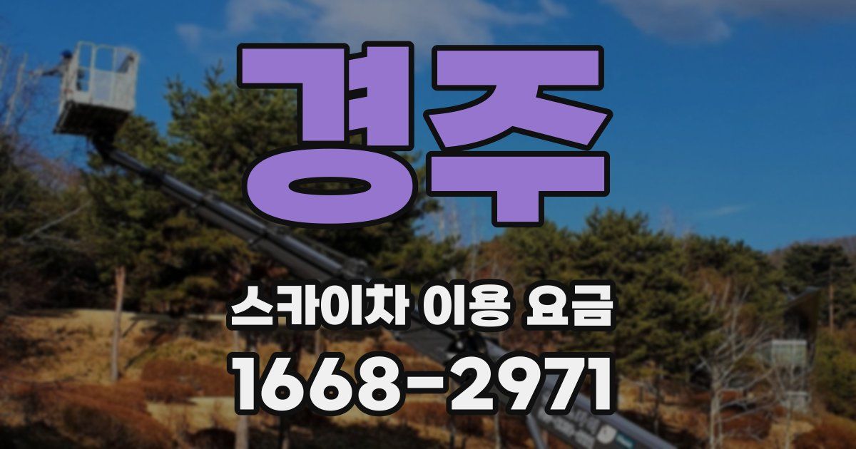 경주 스카이차 이용 요금