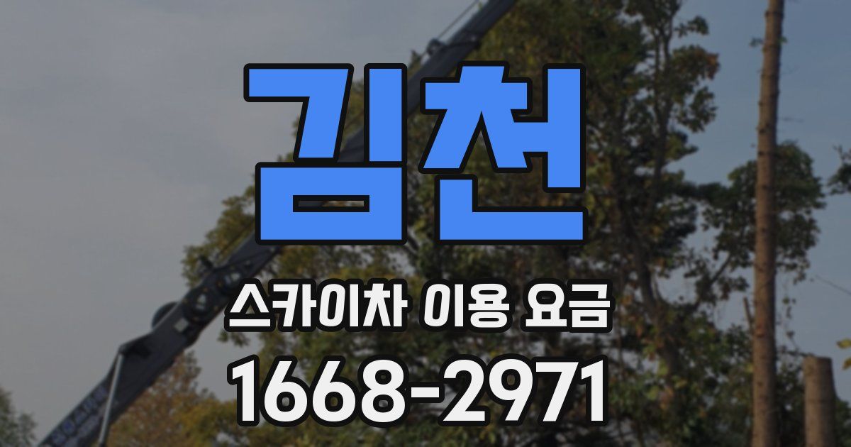 김천 스카이차 이용 요금