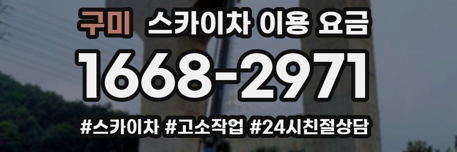 구미 스카이차 이용 요금